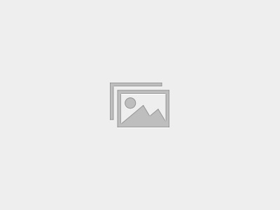 Policies & Procedures Library